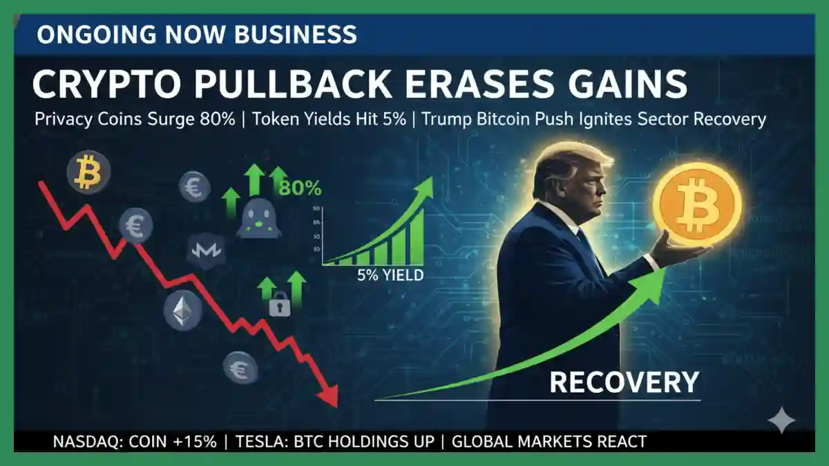 Crypto Market's Sharp Pullback Exposed | Ongoing Now Business