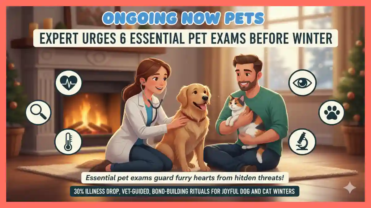 Expert Urges 6 Essential Pet Exams Before Winter | Ongoing Now | Pets