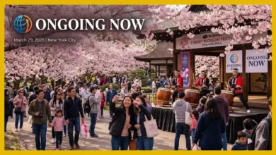 The Global Cultural Resonance of the Cherry Blossom | Ongoingnow | Culture