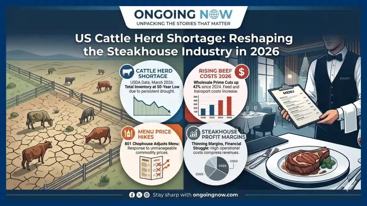 US Cattle Herd Shortage Why 801 Chophouse Prices Rise