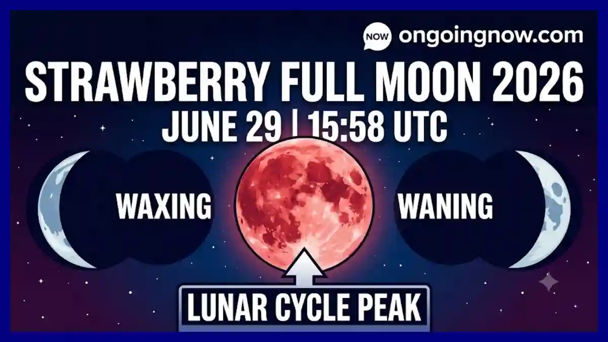 How astronomers map the upcoming Full Moon Schedule 2026 with pinpoint precision