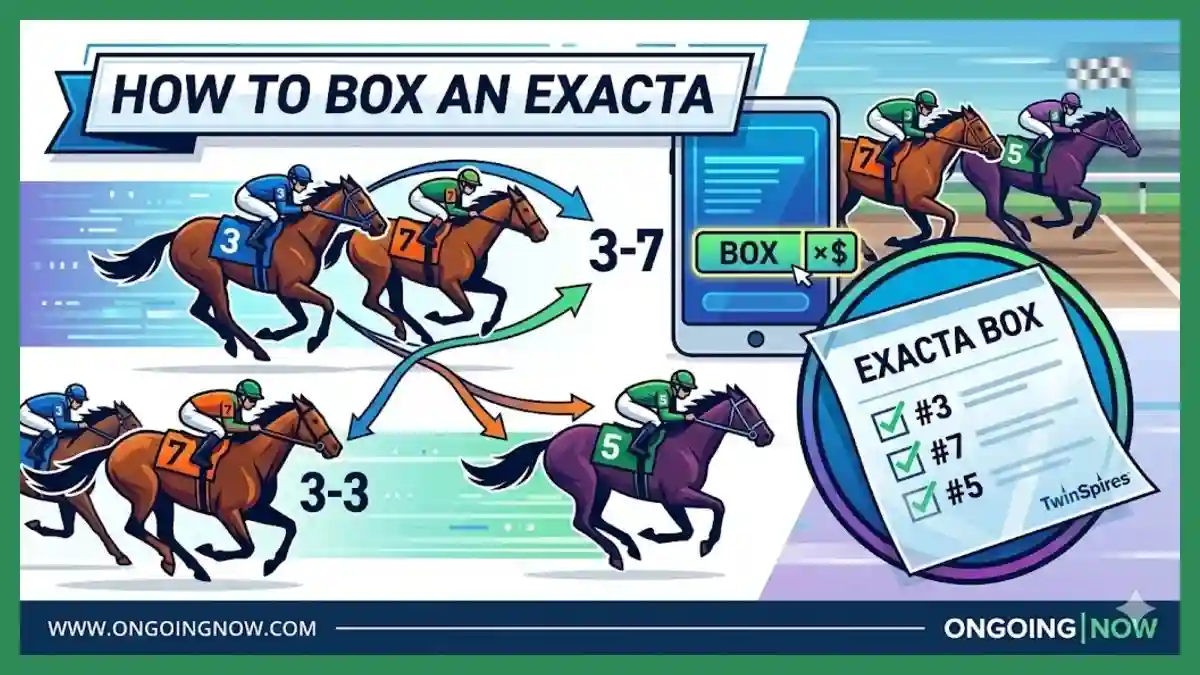 Mastering Your Belmont Stakes Betting Strategy Under Saratoga's Shifting Bias
