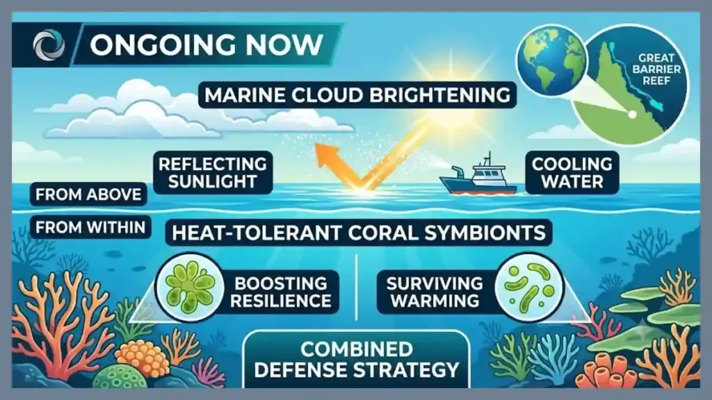 Saving the Ecosystem How New Coral Reef Restoration Techniques Cool the Ocean